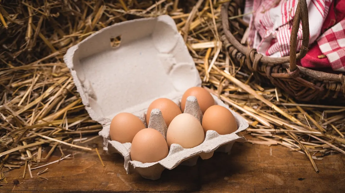 Divers produits sont proposés sur la plateforme.