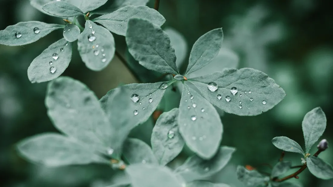 L'IA, un outil formidable pour notre planète ?