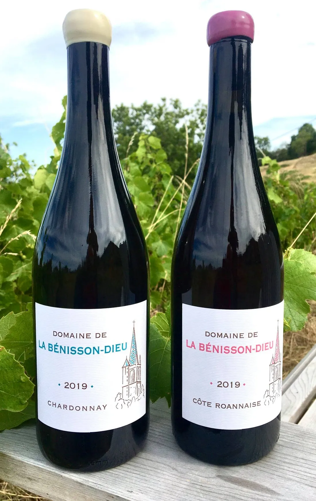 Le vin du domaine de La Bénisson-Dieu.