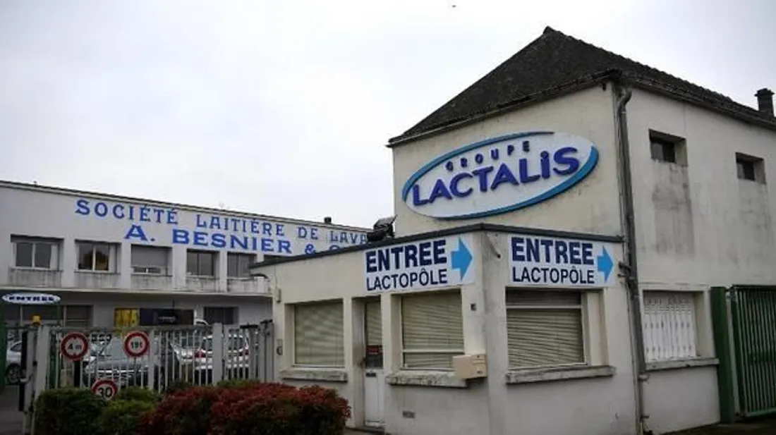 Lactalis 