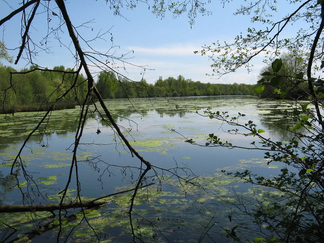 L'écozone du Forez.