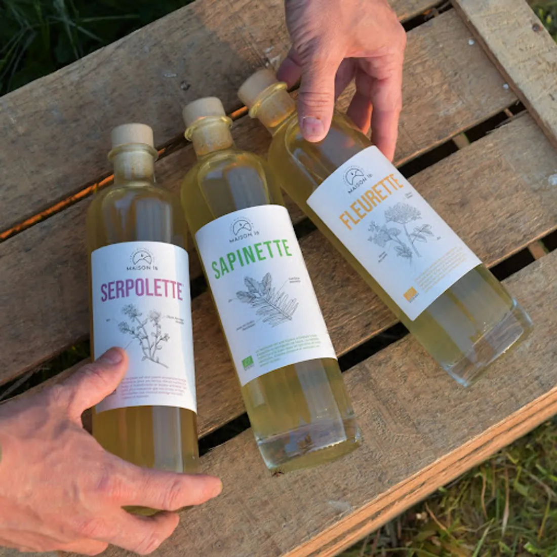 Trois spiritueux de la maison 16