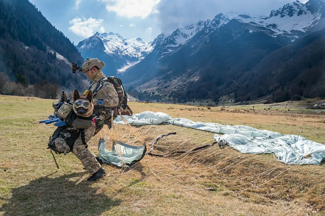 Parachutiste de l'armée de Terre