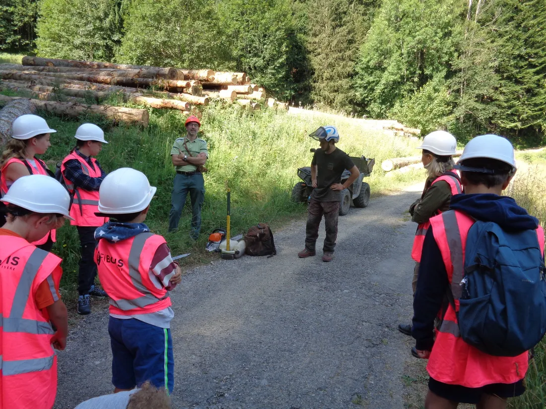 Vis ma vie de bûcheron