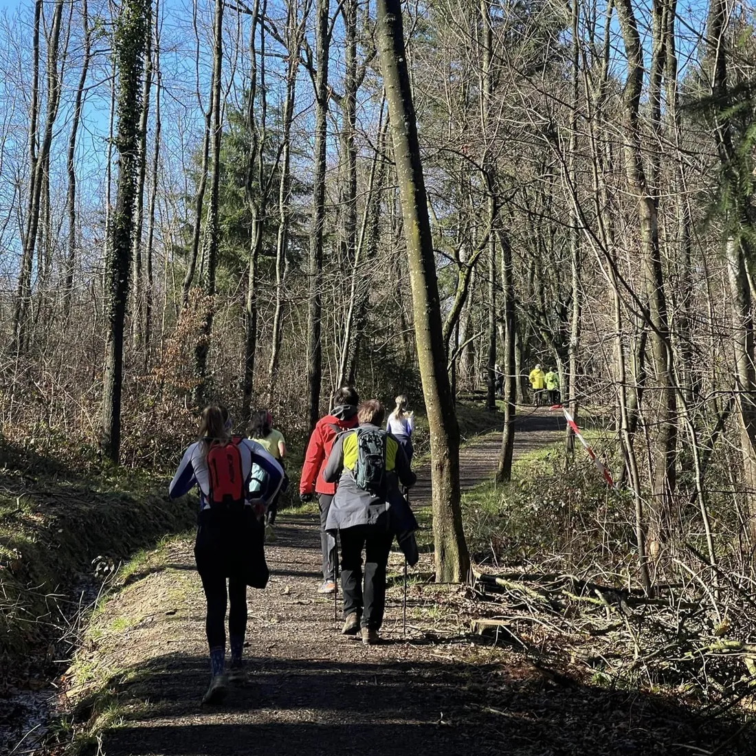 Foulées de la Ligue 