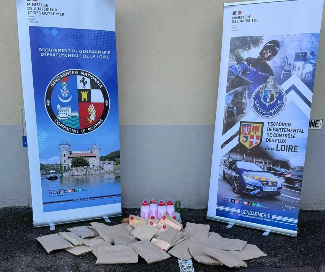 Le résultat de la saisie. 