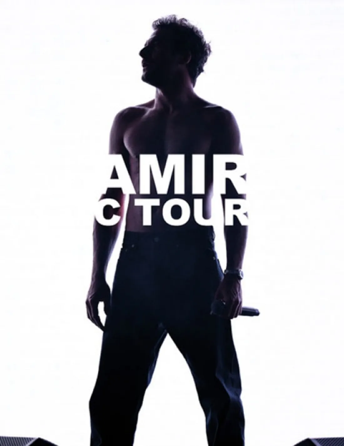 Amir en concert au Zénith de St-Etienne