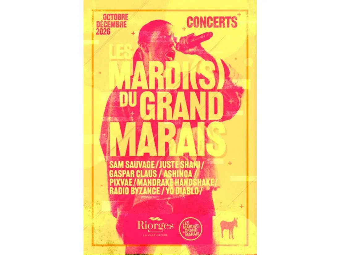 Concert des mardis du grand marais à Riorges