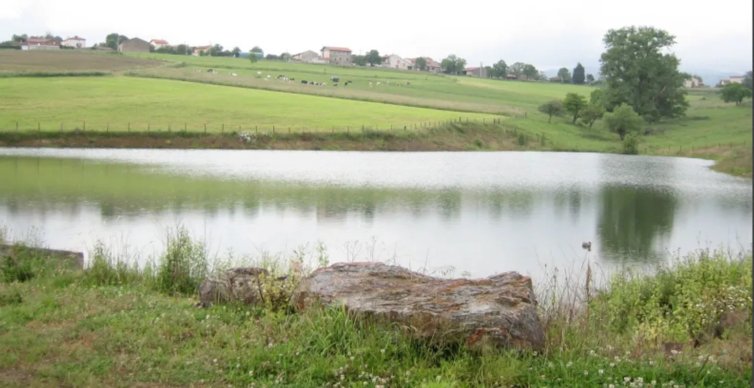 Une retenue collinaire de Février 2018 dans la Loire 