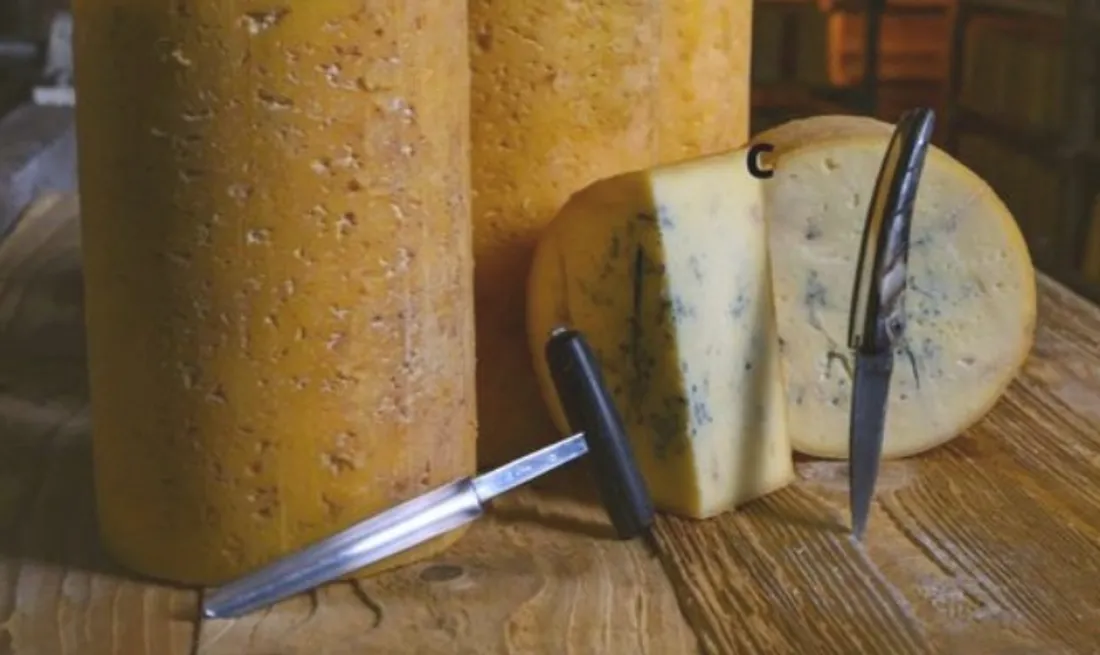 Fourme de Montbrison