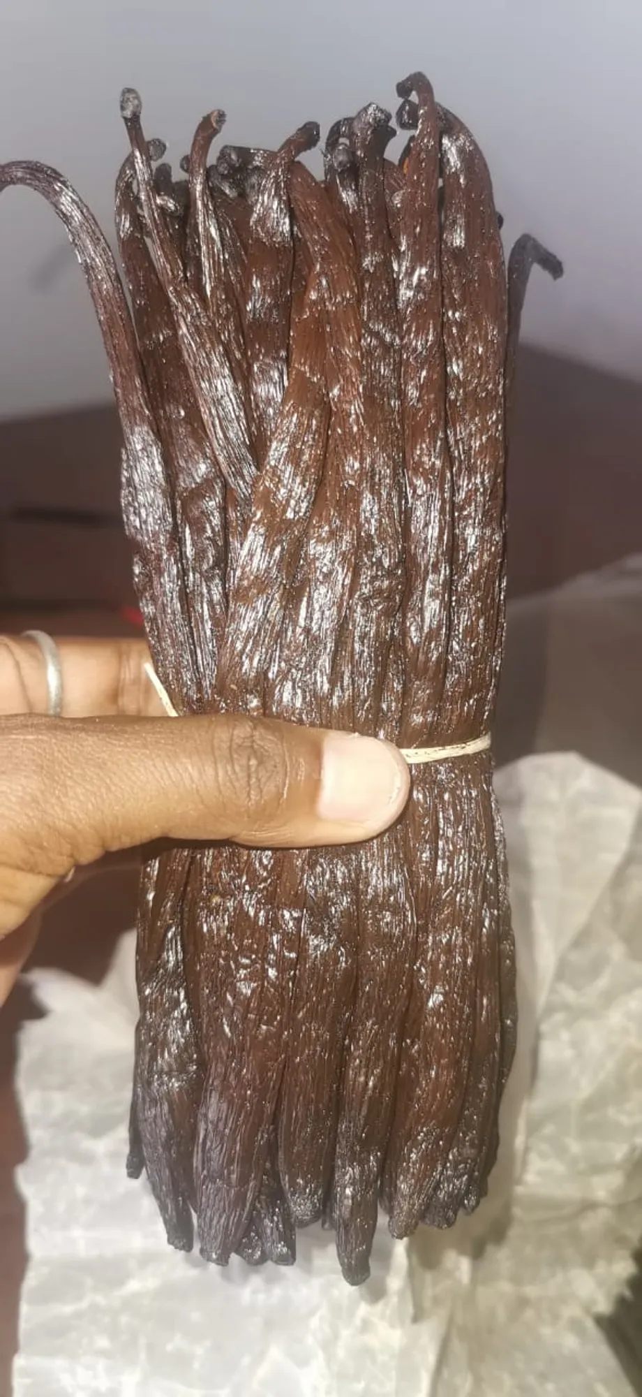 Gousse de Vanille Bourbon, une entreprise stéphanoise