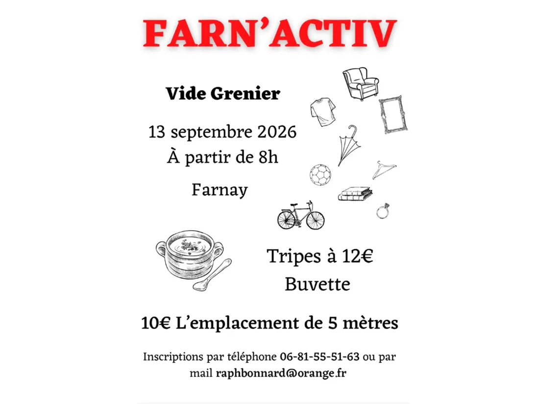 Vide grenier à Farnay