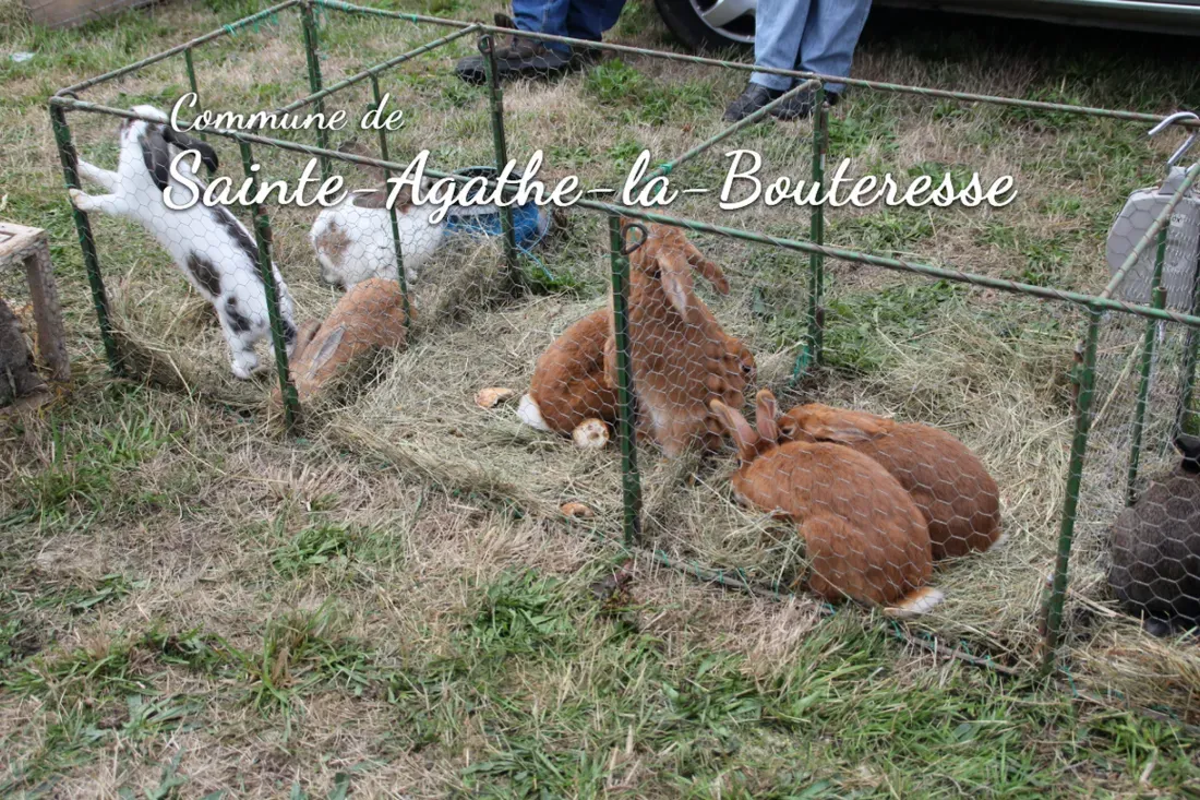 Foire de la Bouteresse à Ste Agathe-la-Bouteresse