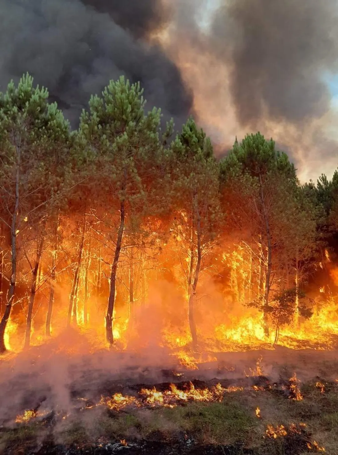 3 200 Hectares D truits Dans Un Incendie En Gironde