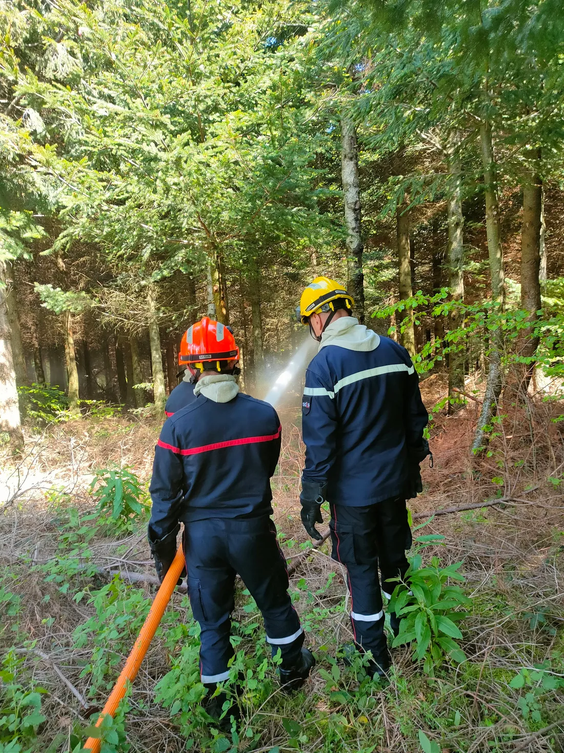 Les pompiers arrosent pour l'exercice même s'il n'y a pas de feu 