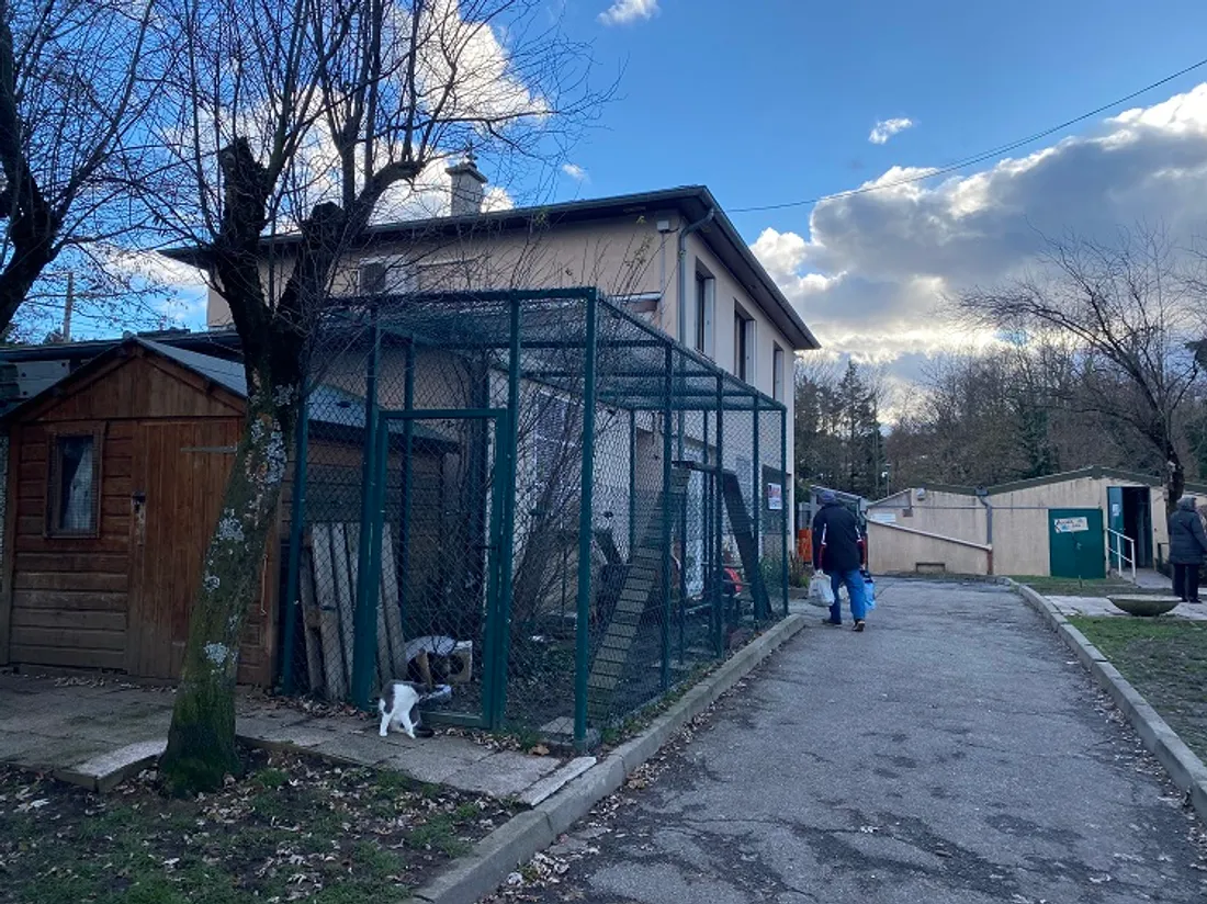 refuge SPA saint-étienne