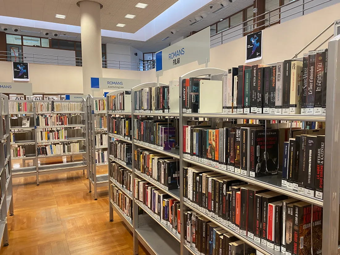 médiathèque de tarentaize livres 