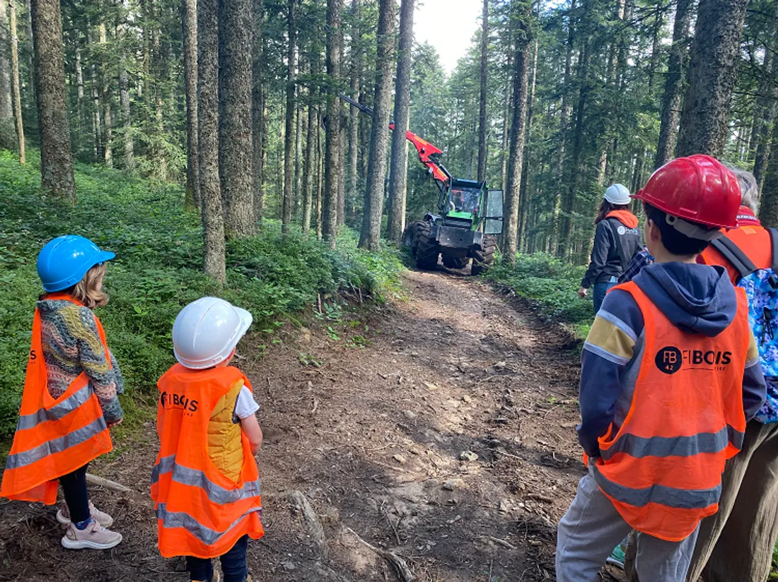 vis ma vie de bûcheron efants