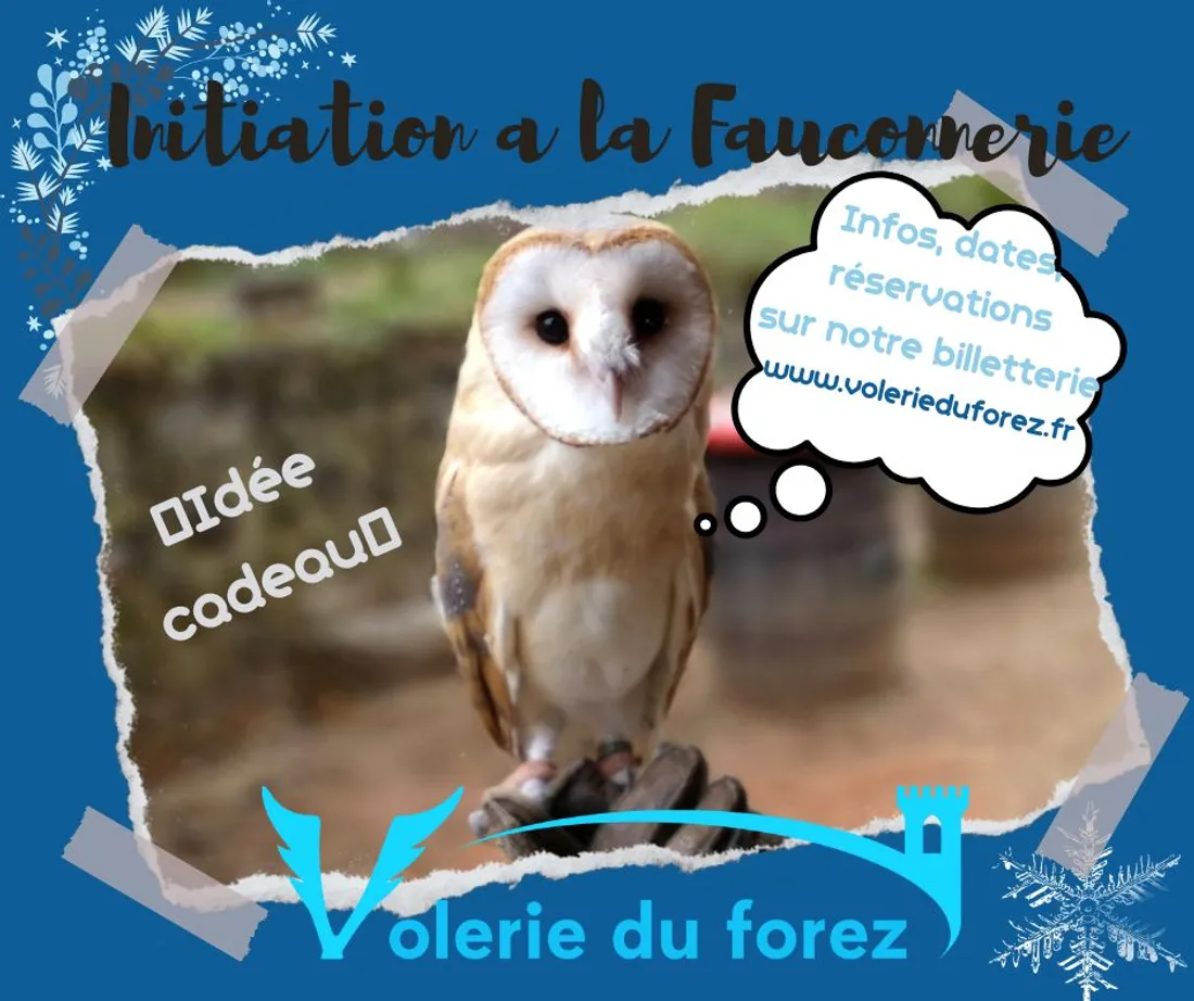 Initiation à la fauconnerie à Marcilly-le-Châtel