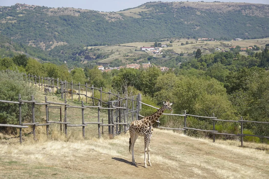 Parc animalier d'Auvergne