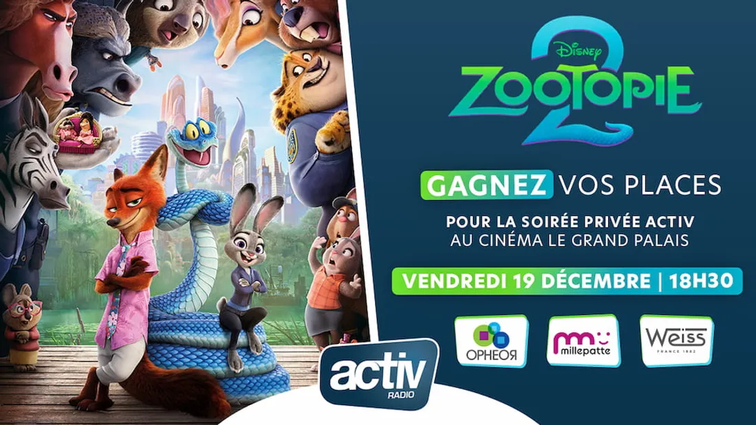 Jeu antenne - Zootopie 2