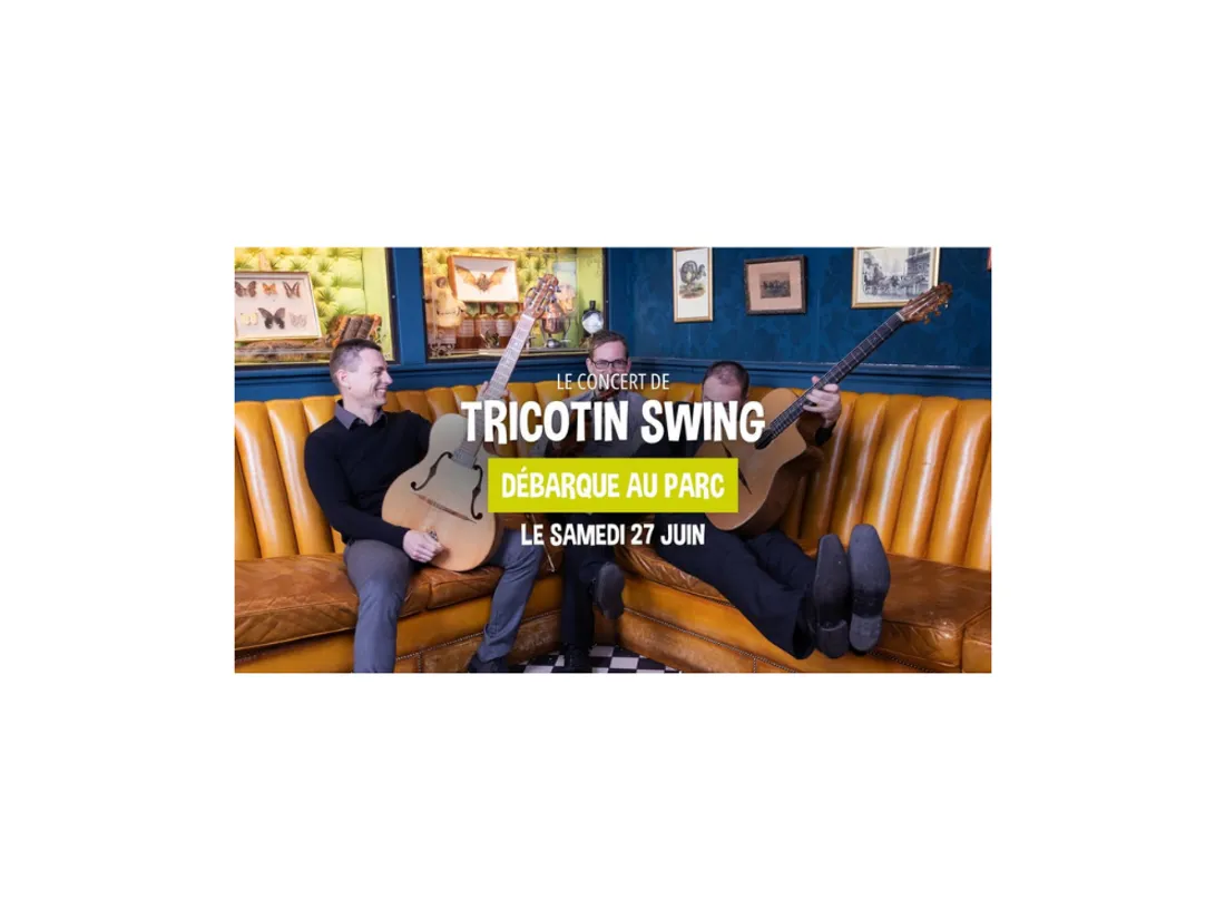 Open Forest Festival à St-Jean-Bonnefonds - Tricotin Swing