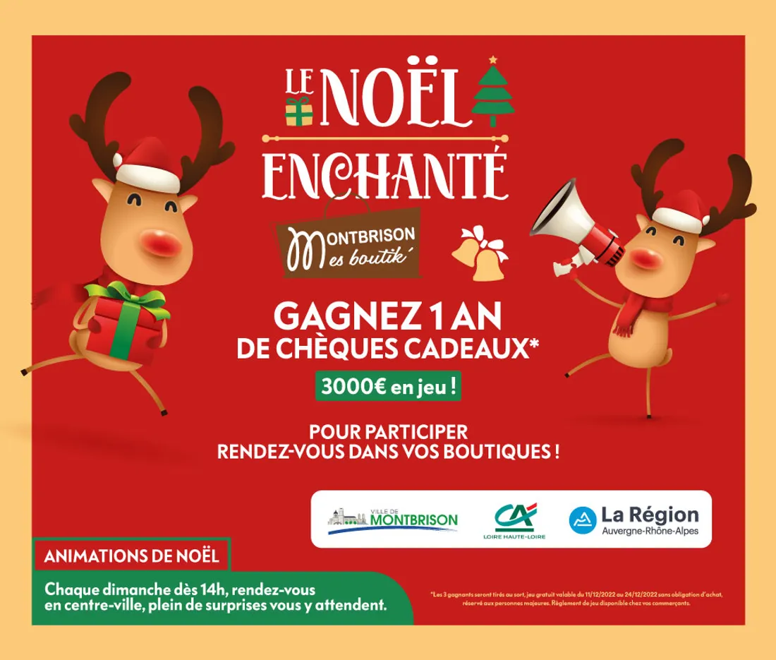 Le noël enchanté