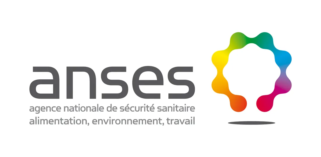 Logo Anses