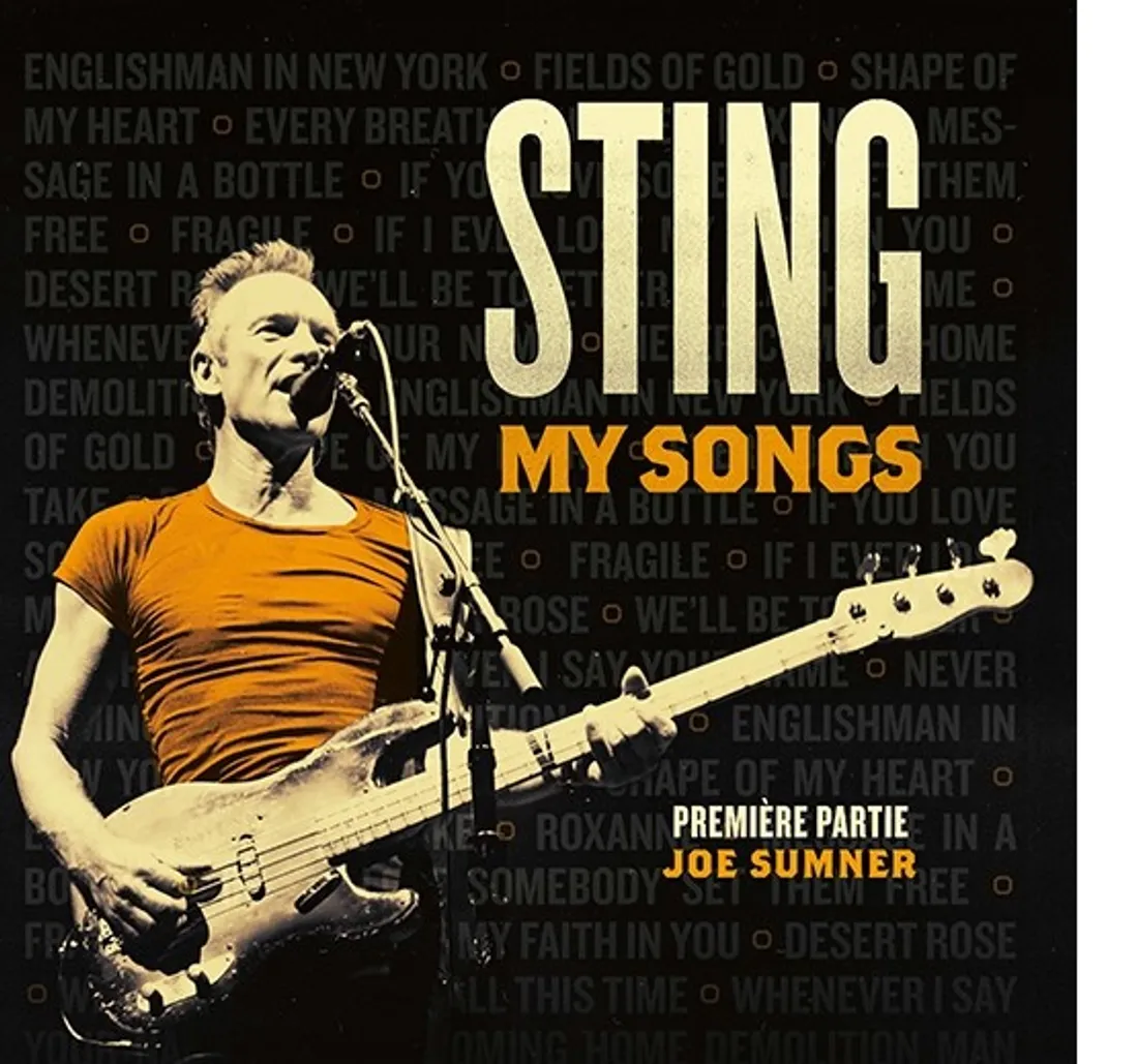 STING AU ZENITH DE ST-ETIENNE