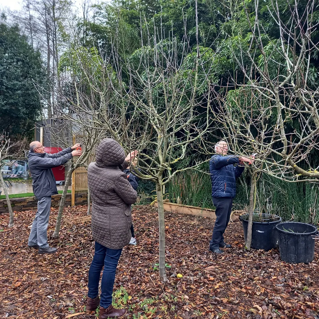 Cours de taille chez Moncorgé & Moi à Charlieu