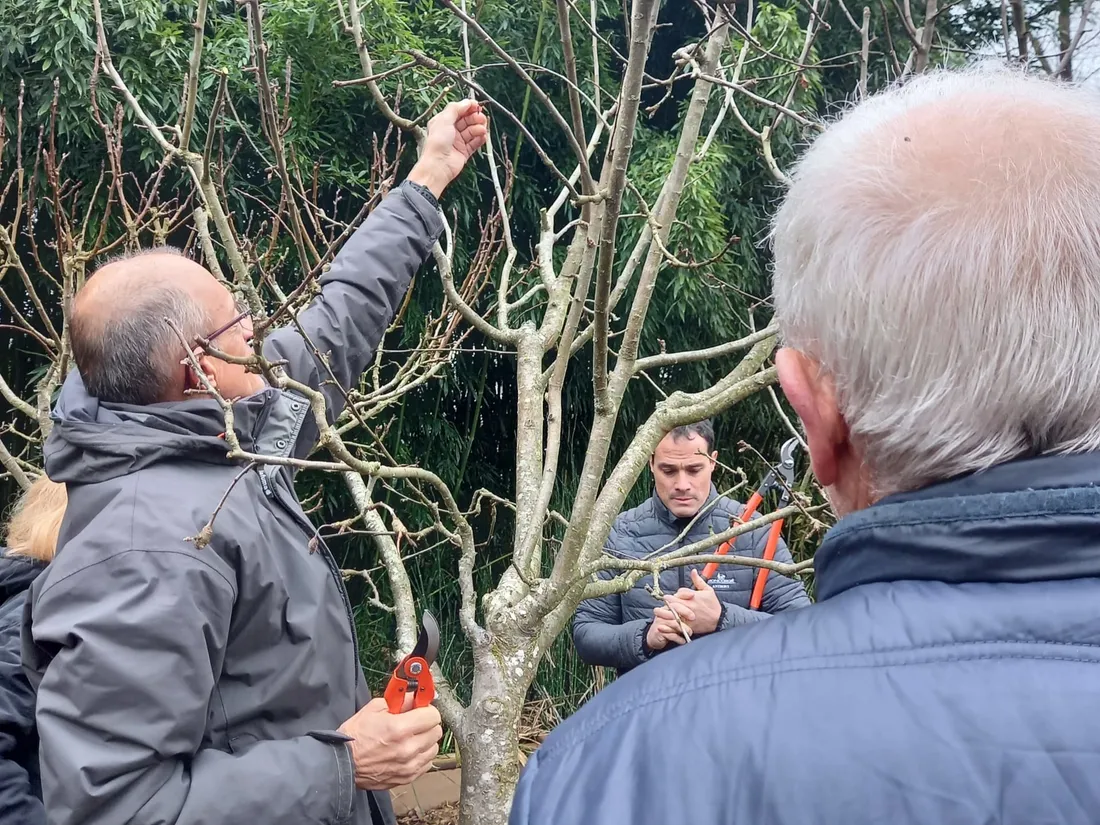 Cours de taille chez Moncorgé & Moi à Charlieu