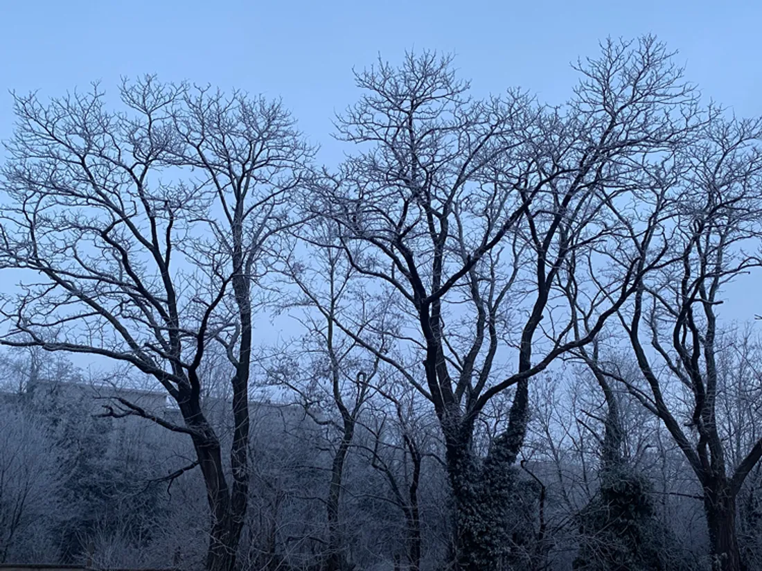 Froid Saint-Étienne 