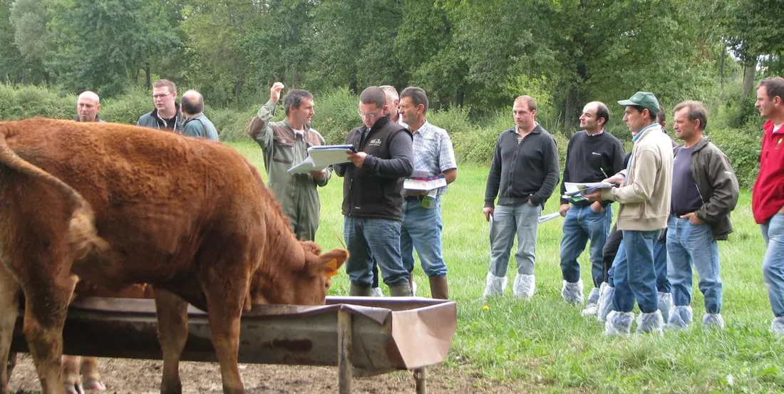 Des agriculteurs ligériens