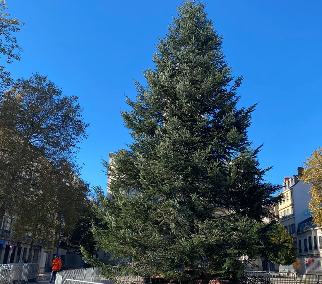 sapin de Noël jean jaurès saint-étienne 