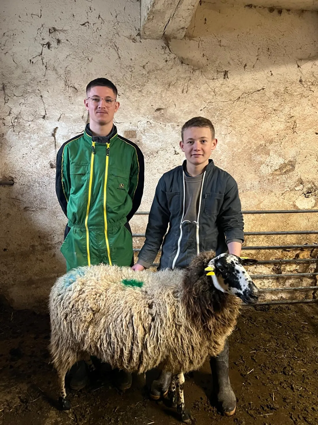 Meilleurs jeunes bergers France Loire 