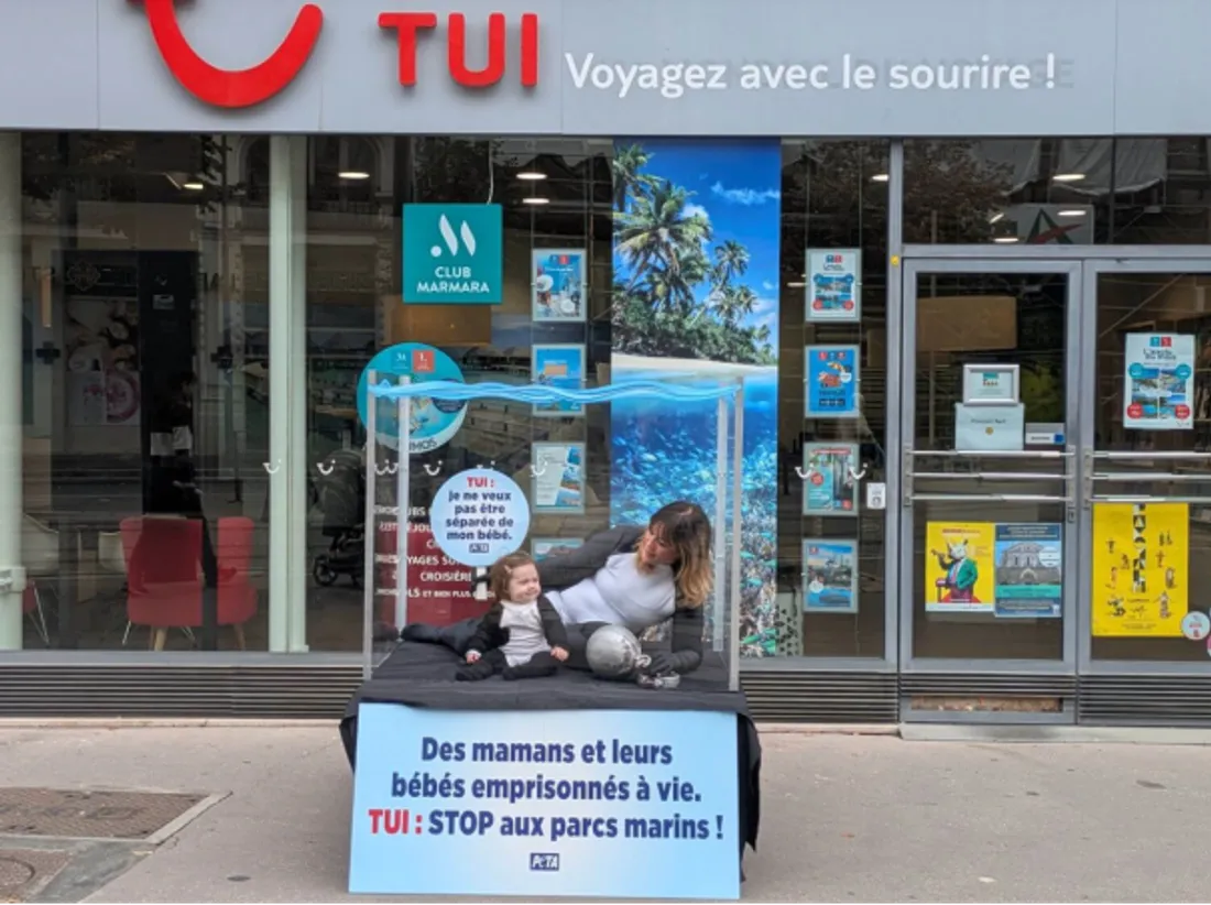 Une action de PETA a été organisé ce jeudi à Saint-Etienne.