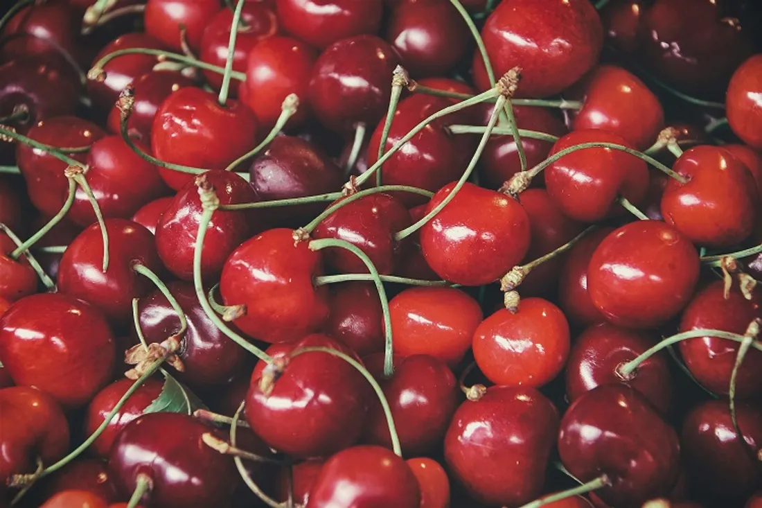 Dans le Gier, les vols de cerises sont de plus en plus récurrents