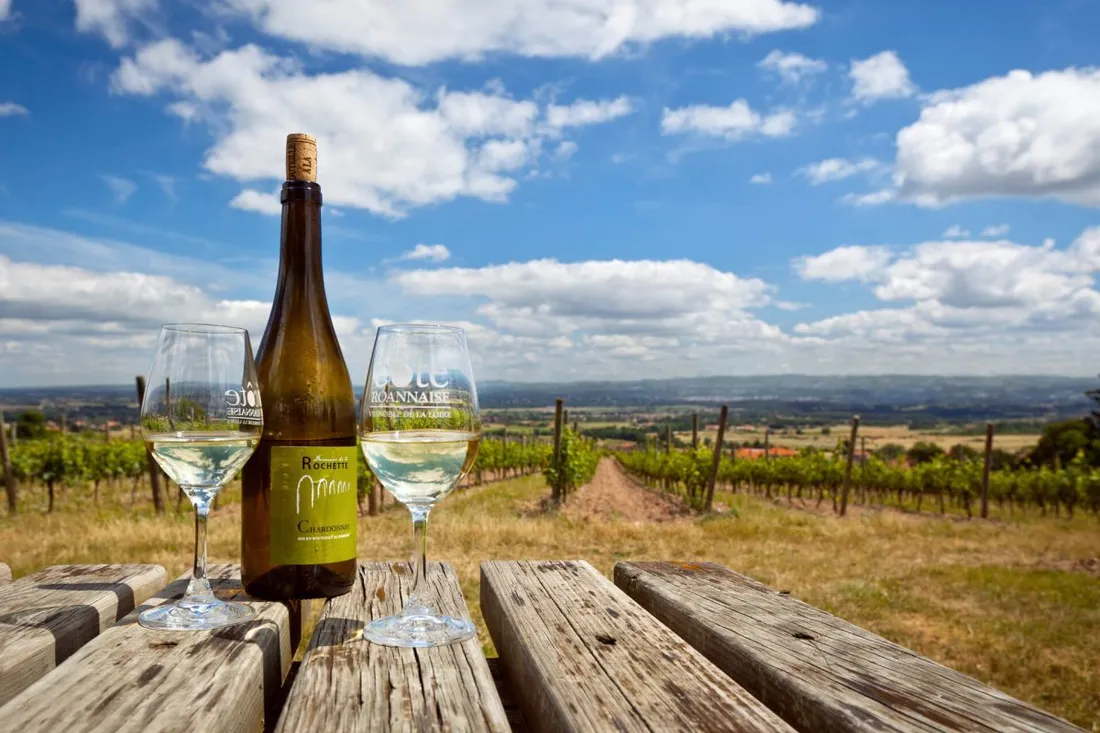 Rencontres Vigneronnes sur la Côte Roannaise