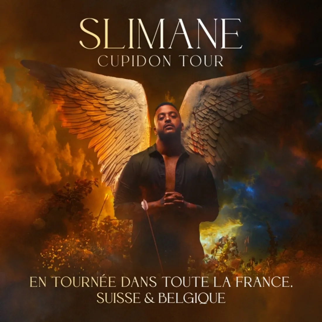 Slimane en concert au Zénith de St-Etienne