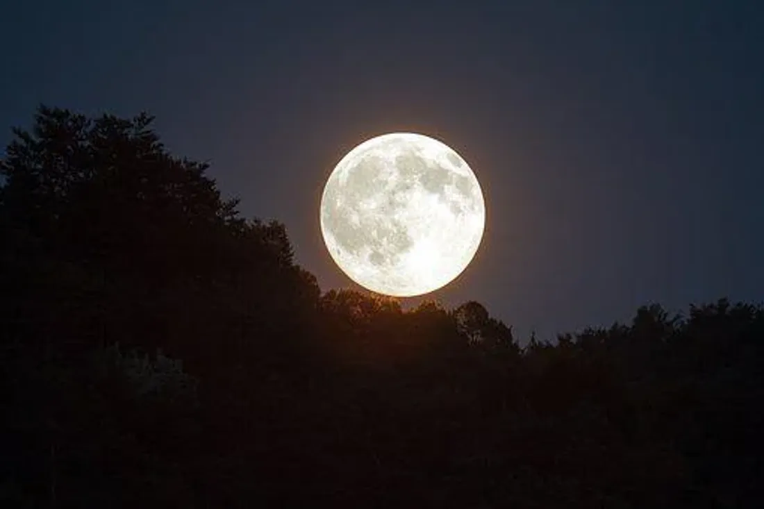 Ne manquez pas la dernière "super Lune" de 2022