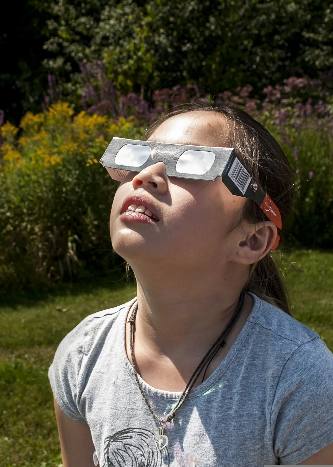 Il faut obligatoirement regarder l'éclipse avec des lunettes homologuées et en parfait état. 