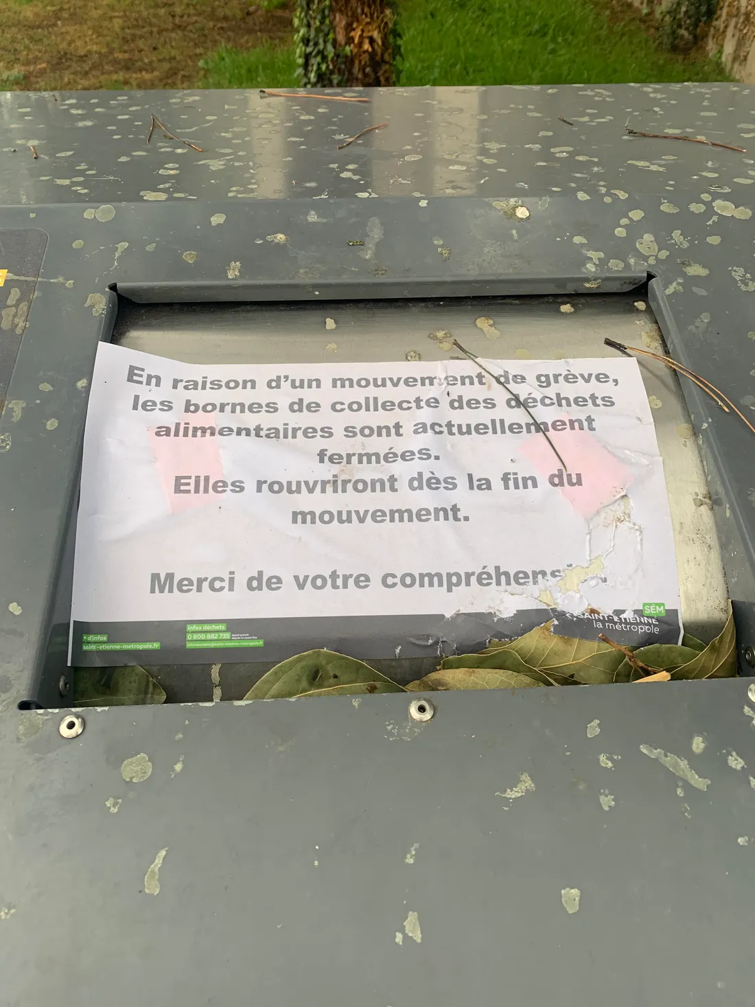 poubelle alimentaire 