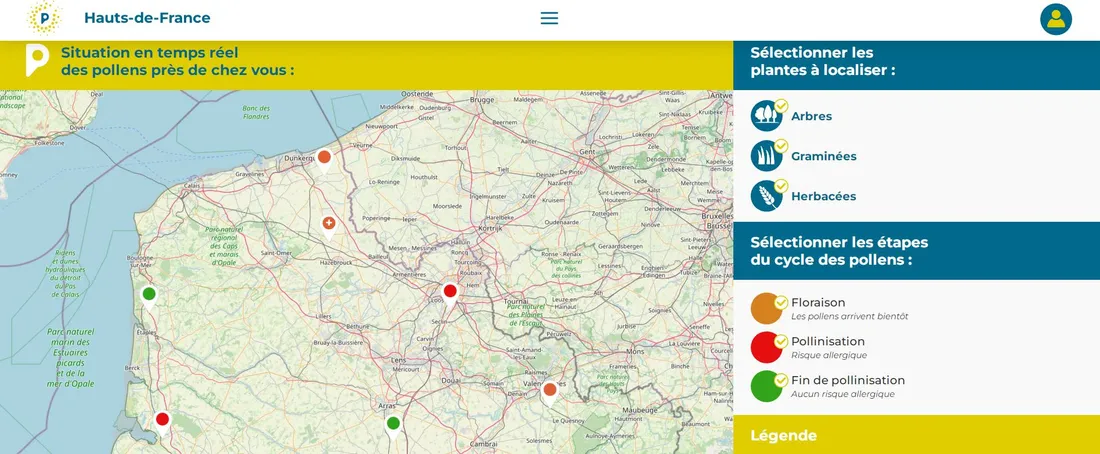 Capture d'écran du site internet Pollin'air, qui recense les pollens dans l'atmosphère