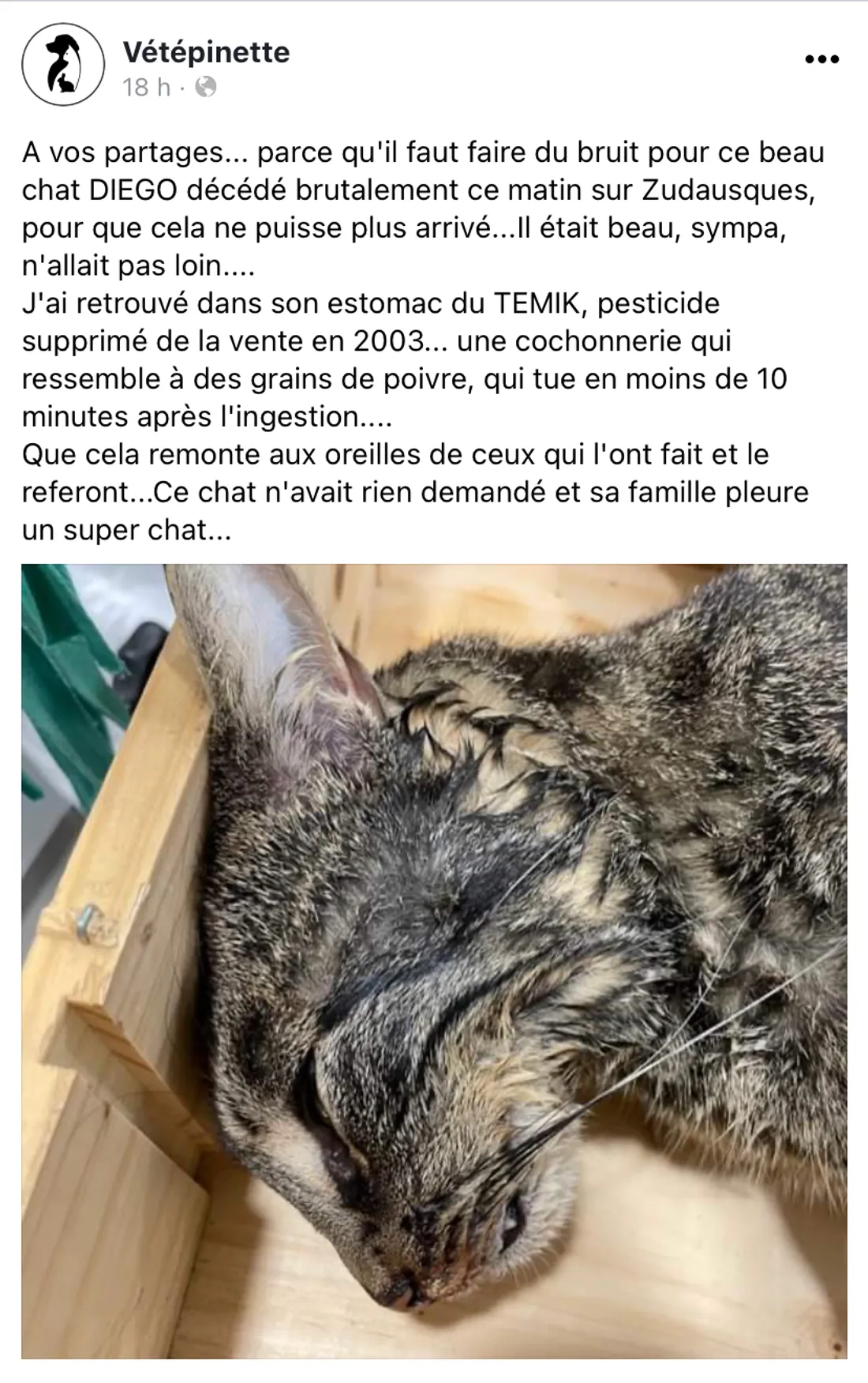 La vétérinaire qui a examiné Diego appelle à la vigilance 