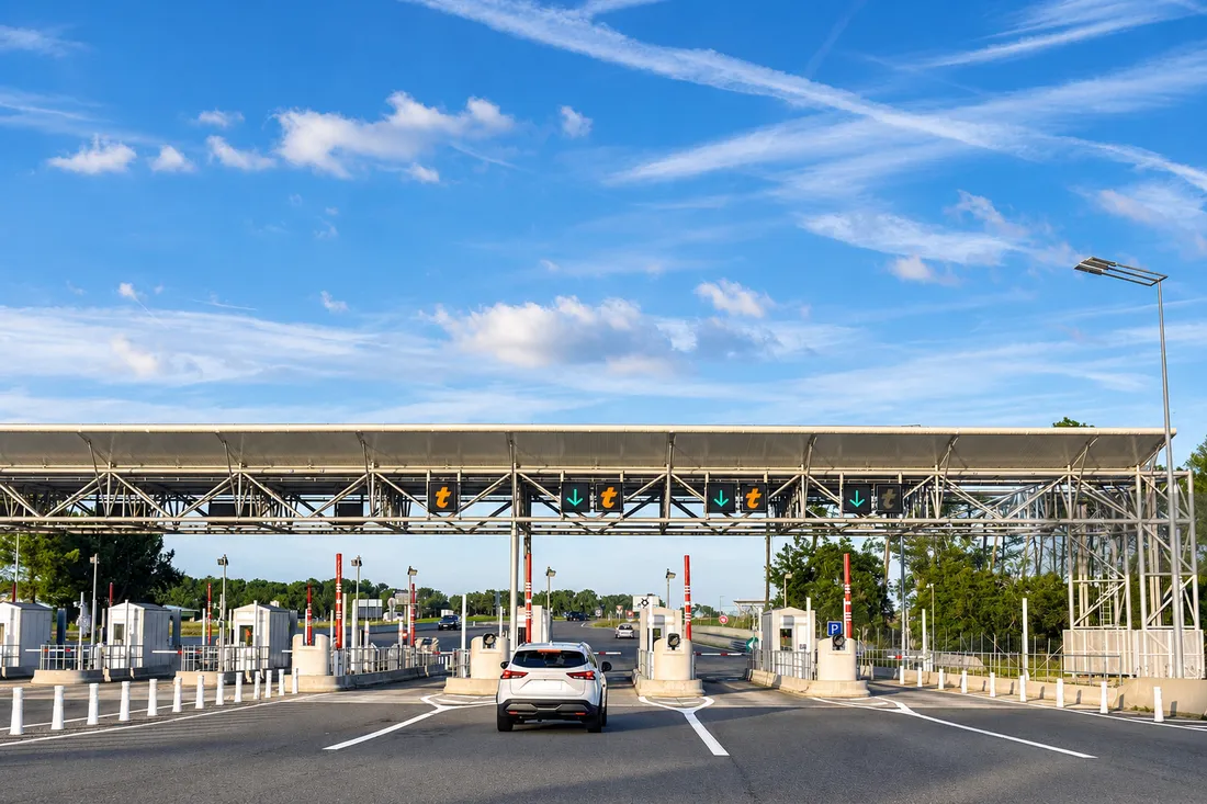 bck section0