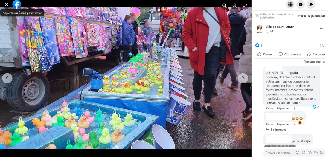 Capture d'écran page facebook ville de Saint-Omer