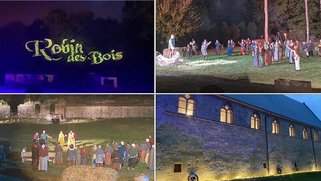 Cassine Robin des bois Collage