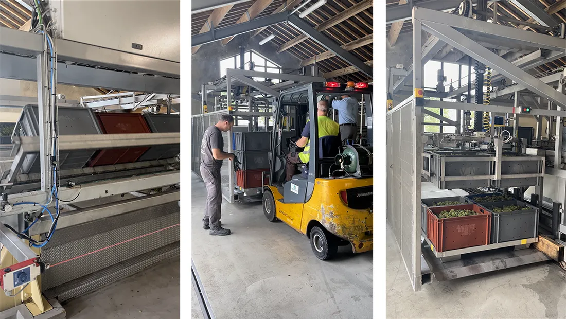 La Vigneronne Vertus