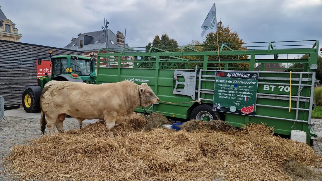 Action des agriculteurs audomarois ce vendredi