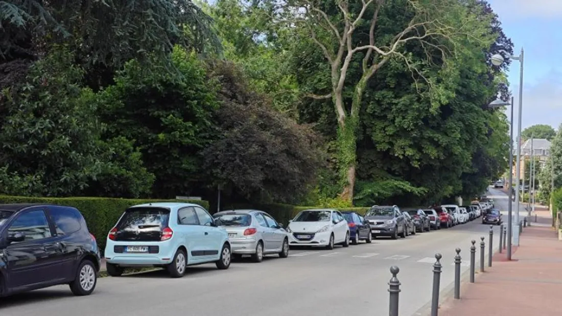 Une caméra va être installée sur l’allée du Parc. 
